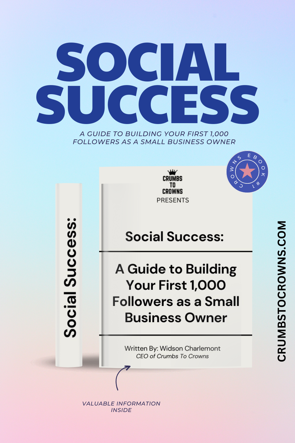 Social Success: A Guide to Building Your First 1,000 Followers as a Small Business Owner (EBOOK)